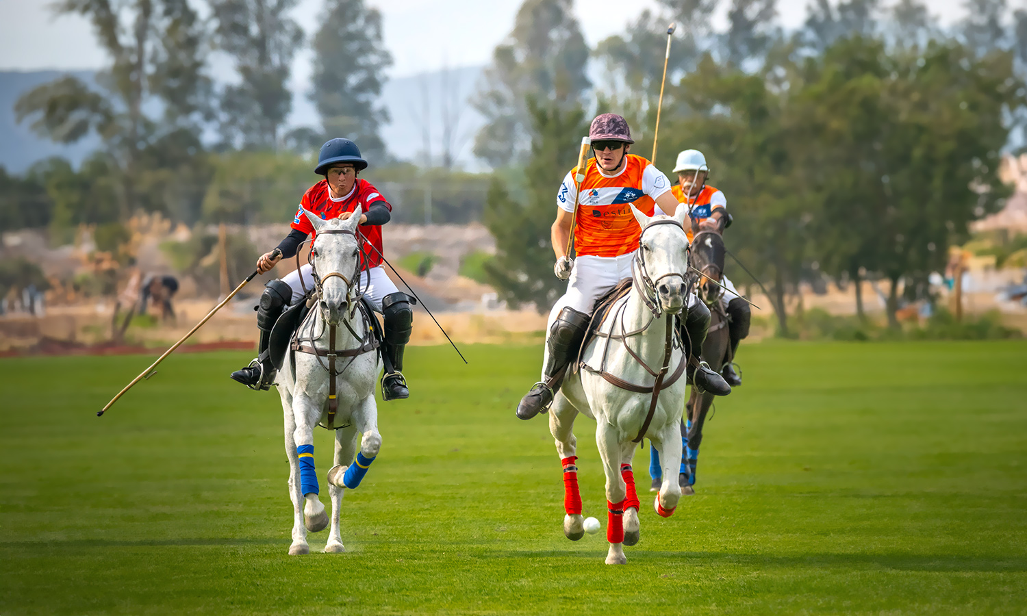 Pista de polo y club de polo dentro de Viñedos del Polo, lotes residenciales campestres en El Marqués, Querétaro